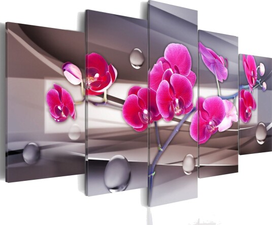 Bilde Orkidé På En Dempet Bakgrunn 200x100 Artgeist sp. z o. o.