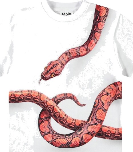 Molo T skjorte Rubin Rød Snake Molo 6 år (116) T skjorte Hvit