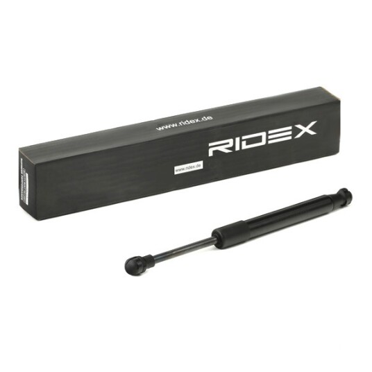 Baklukedemper RIDEX 219G0692