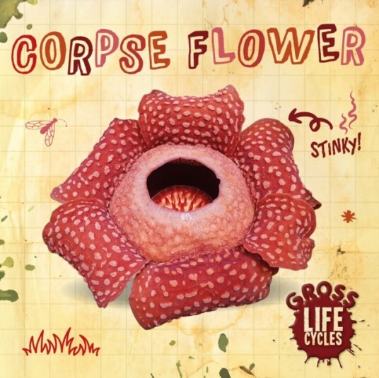 Corpse Flower Av William Anthony Corpse Flower Av William Anthony