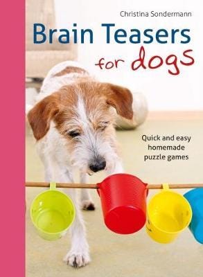 Brain teasers for dogs  Quick and easy homemade puzzle games