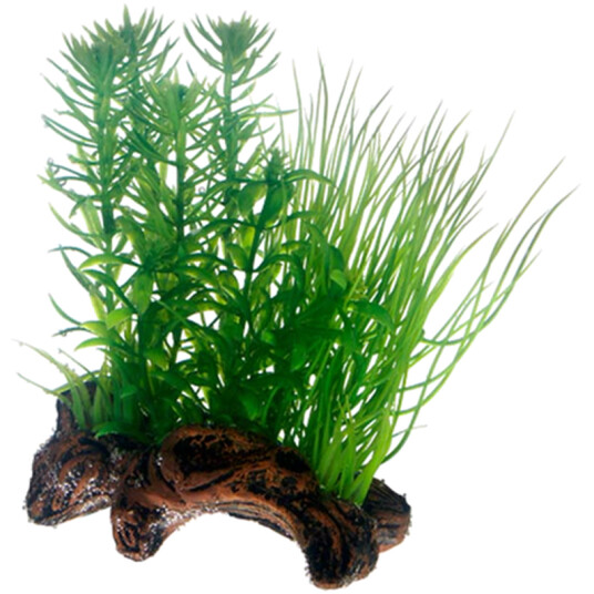 Flora Root 2 Green 17 cm