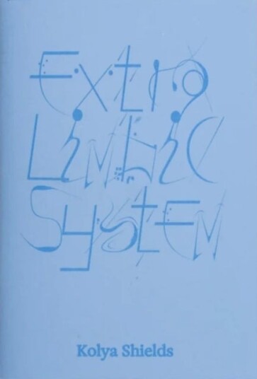 Extra Limbic System