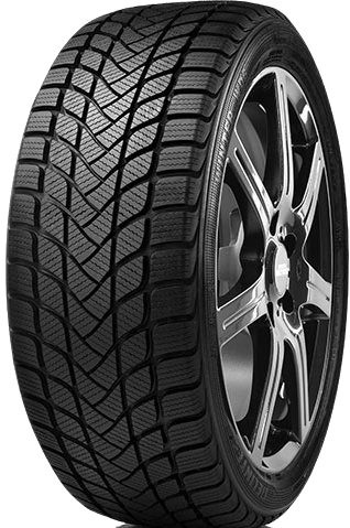 Delinte Winter WD6 225/55R17 97H