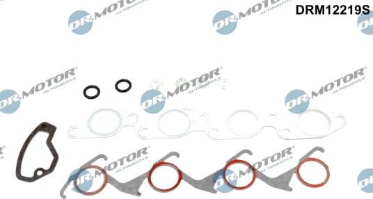 Tetnings helsett motor DR.MOTOR AUTOMOTIVE DRM12219S