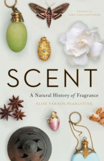 Scent Scent