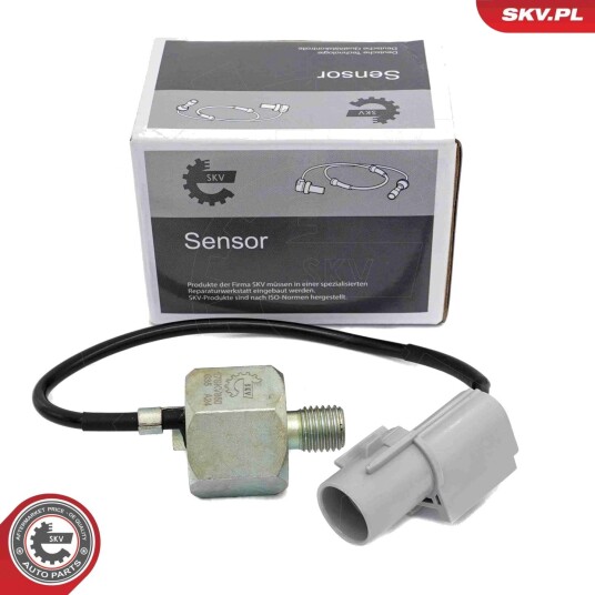 Bankesensor ESEN SKV 17SKV850