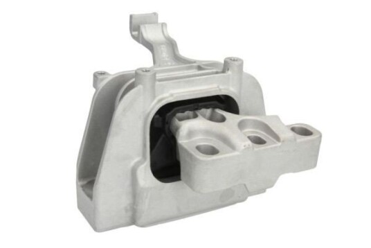 Motorfeste REINHOCH RH11-0091