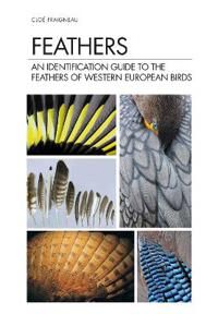 Feathers Av Cloe Fraigneau Feathers Av Cloe Fraigneau
