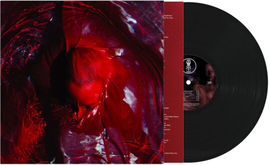 Not Here Not Gone Vinyl Not Here Not Gone Vinyl