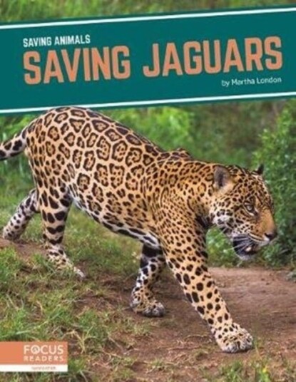 Saving Animals: Saving Jaguars Saving Animals: Saving Jaguars