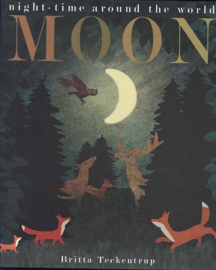 Moon Av Patricia Hegarty