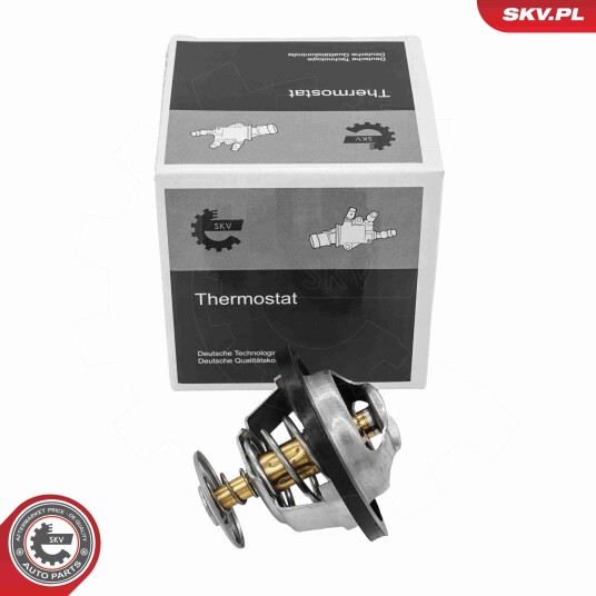 Termostat ESEN SKV 20SKV245