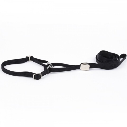 Show Dog Show Lead Flat Halvstrup Med Klips Svart (10 Mm X 110 cm) Show Dog Show Lead Flat Halvstrup Med Klips Svart (10 Mm X 110 cm)