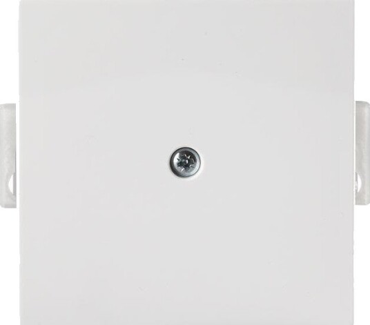 Abb 1742-866 Blindplate 85 X 85 mm, Rustfritt Stål