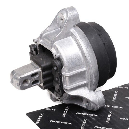 Motorfeste RIDEX 247E0330