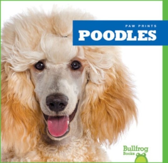 Poodles Poodles