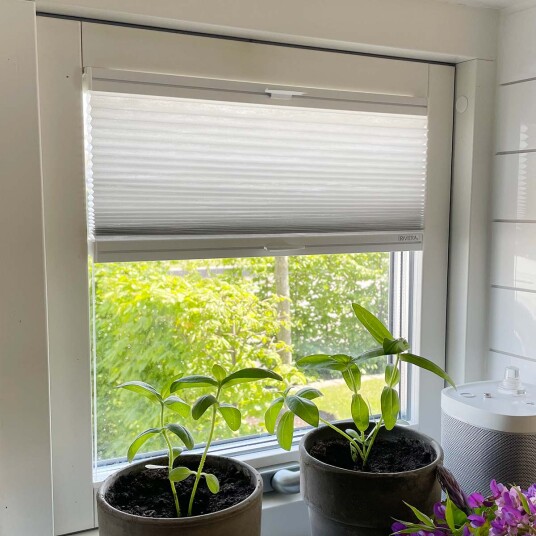 Transparent Plisségardin duo flexhengt Hvit, Uten skinne, 510-604
