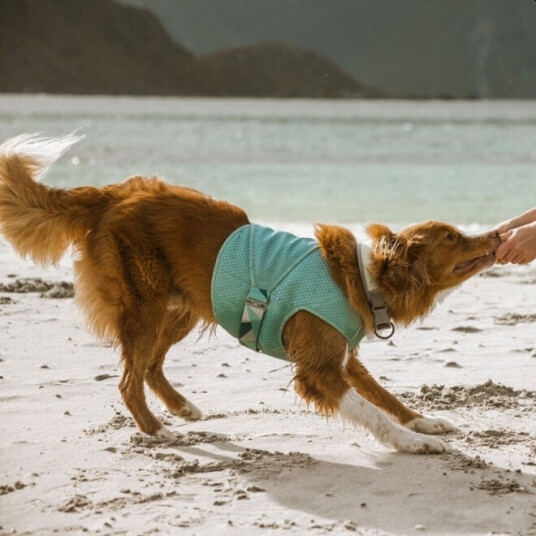 Hurtta Kjølevest til hund Medium 55-65 cm Lyseblå Hurtta Kjølevest til hund Medium 55-65 cm Lyseblå