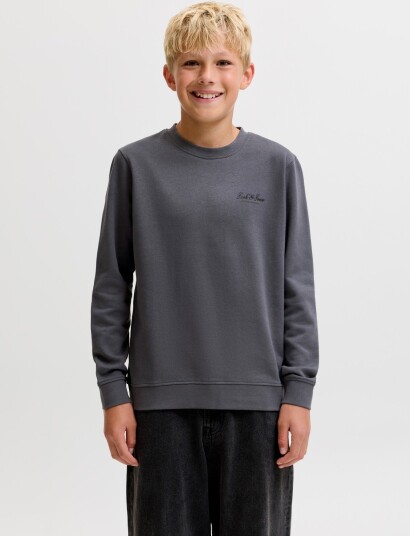 Jack & Jones Jjearchive Graphic Sweat Cn Sn Jnr Grey 164