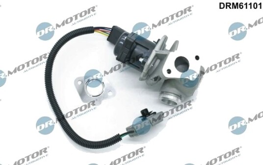 DR.MOTOR AUTOMOTIVE DRM61101 EGR-ventil