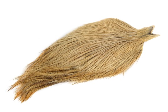 Whiting Coq De Leon Cape Whiting Coq De Leon Cape