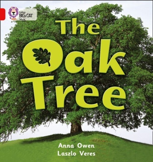 The Oak Tree Band 02b/Red B The Oak Tree Band 02b/Red B