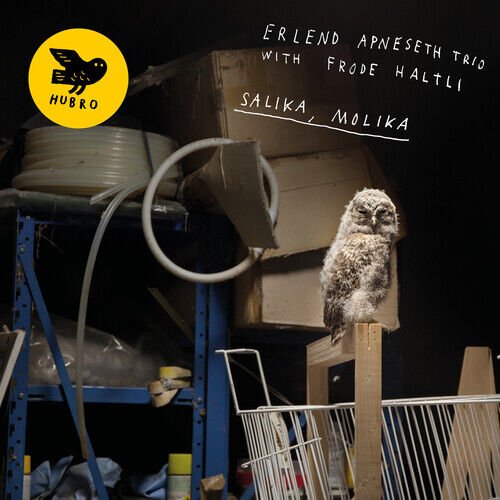 MediaTronixs Erlend Apneseth Trio with Frode Haltli : Salika, Molika CD (2019) Pre-Owned