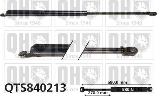 QUINTON HAZELL QTS840213 Baklukedemper