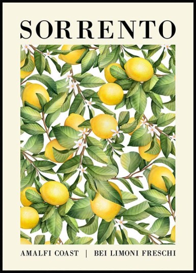 Sorrento Lemon Amalfi Coast Plakat Plakat / 50x70cm Sorrento Lemon Amalfi Coast Plakat Plakat / 50x70cm