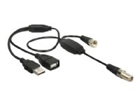 Delock - Antennekabel - F-kopling hann til F-kopling, USB (kun strøm) - 35 cm - koaksial - svart