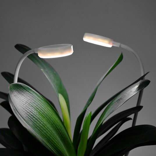 Ledlife 2 stk. Fleksibelt plantelys med spyd 12W timer 40cm