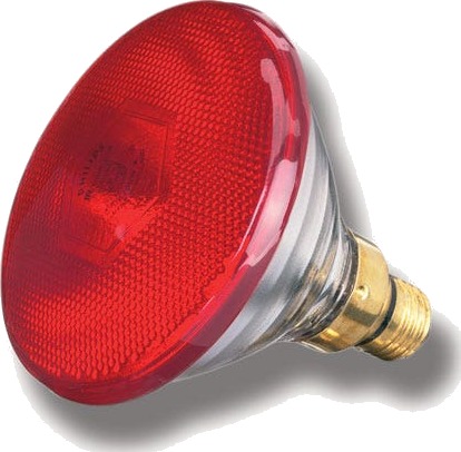 Varmepære Philips Lavenergi 100 W