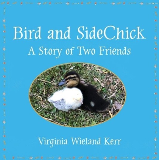 Bird and SideChick Bird and SideChick
