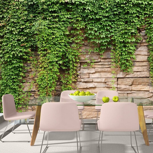 Fototapet Ivy Wall 250x175 - Artgeist sp. z o. o.