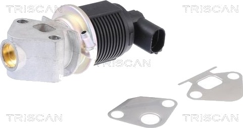 EGR-ventil TRISCAN 8813 29009