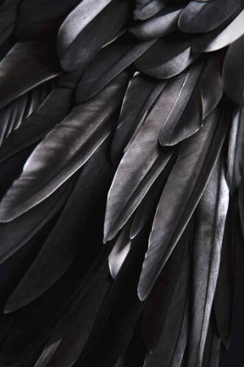 Malerifabrikken Poster Black wing 1608848-01-48