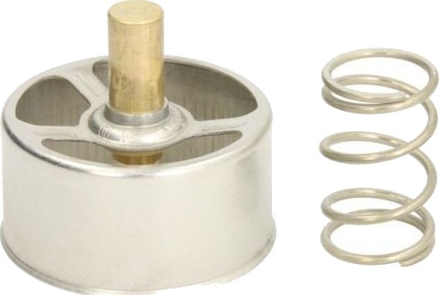 Termostat THERMOTEC D2RV005TT
