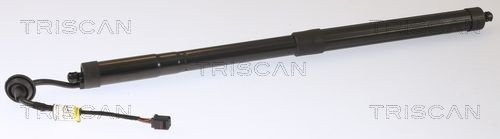 TRISCAN 8710 27309 Baklukedemper