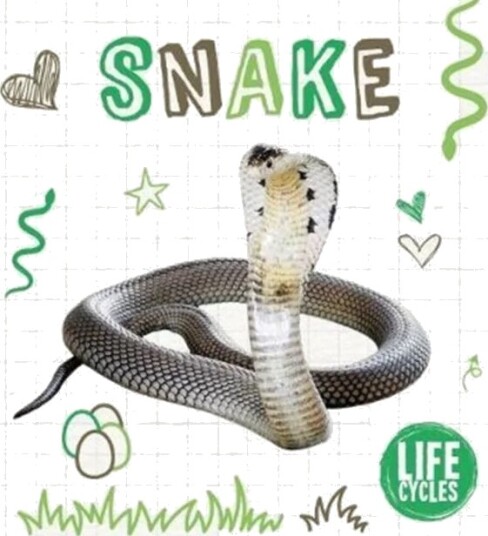 Snake Av Holly Duhig