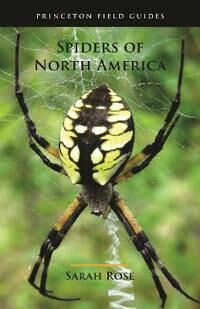Spiders Of North America Av Sarah Rose