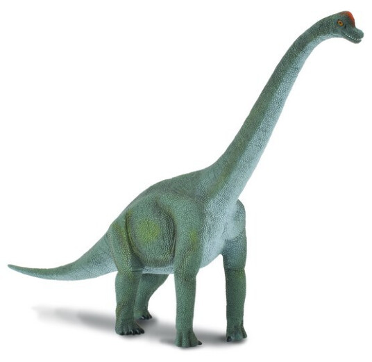 Figur Collecta Brachiosaurus 21,5cm Figur Collecta Brachiosaurus 21,5cm
