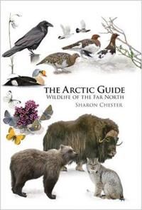 The Arctic Guide Av Sharon Chester The Arctic Guide Av Sharon Chester