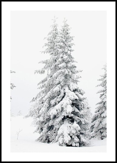 Snow Covered Pine Trees Plakat Plakat / 100x150cm