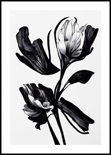 Black Flower Plakat / 50x70cm