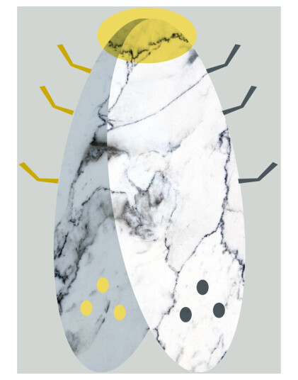 Marbel moth av MyRo Graphics