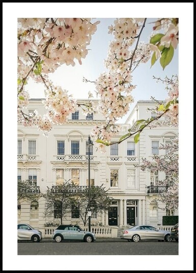 Nottinghillbloom Ratioiso Plakat Plakat / 40x50cm Nottinghillbloom Ratioiso Plakat Plakat / 40x50cm
