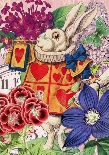 Madame Treacle Kortpakke B6 Med Konvolutt – Alice I Eventyrland Alicja W Krainie Czarów Madame Treacle Kortpakke B6 Med Konvolutt – Alice I Eventyrland Alicja W Krainie Czarów