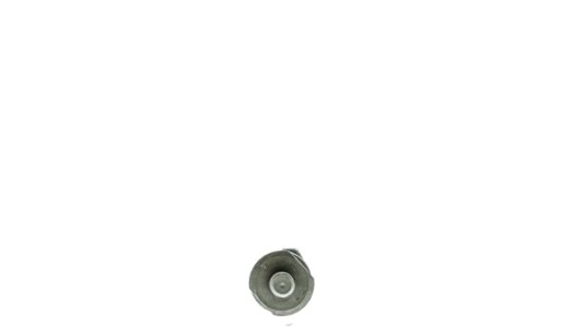 Oljepumpe AISIN OPT-006