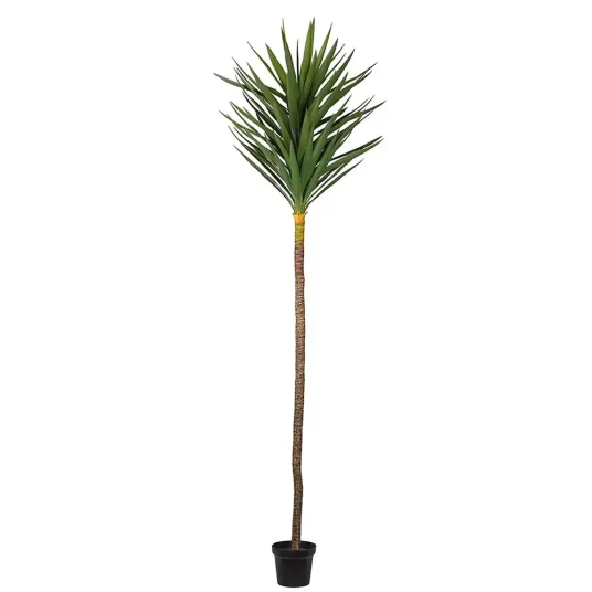 Mr Plant Yucca Tre 250 cm Mr Plant Yucca Tre 250 cm